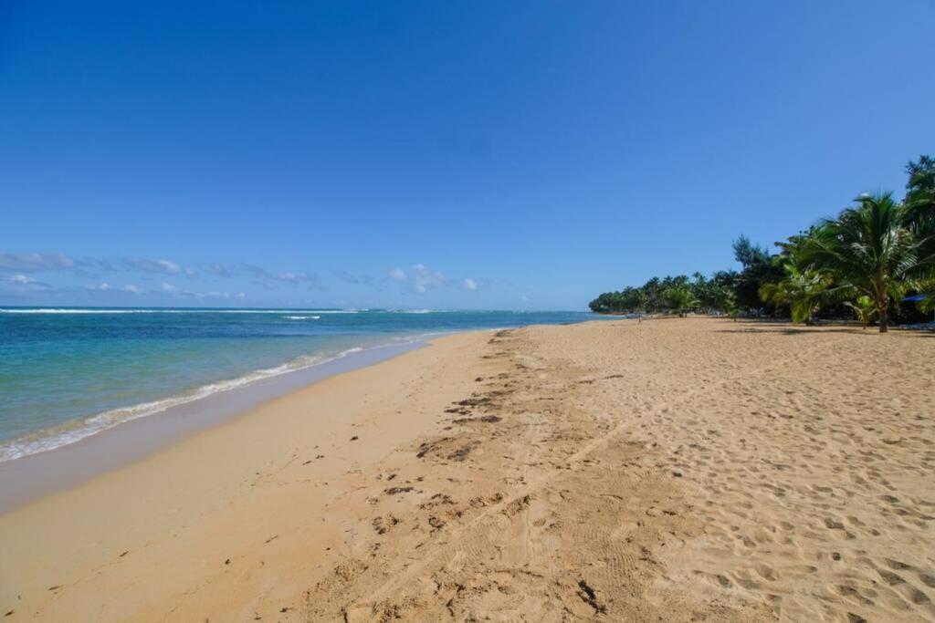 Palmeraie Terrenas Beach Apartamento Лас-Терренас Екстер'єр фото